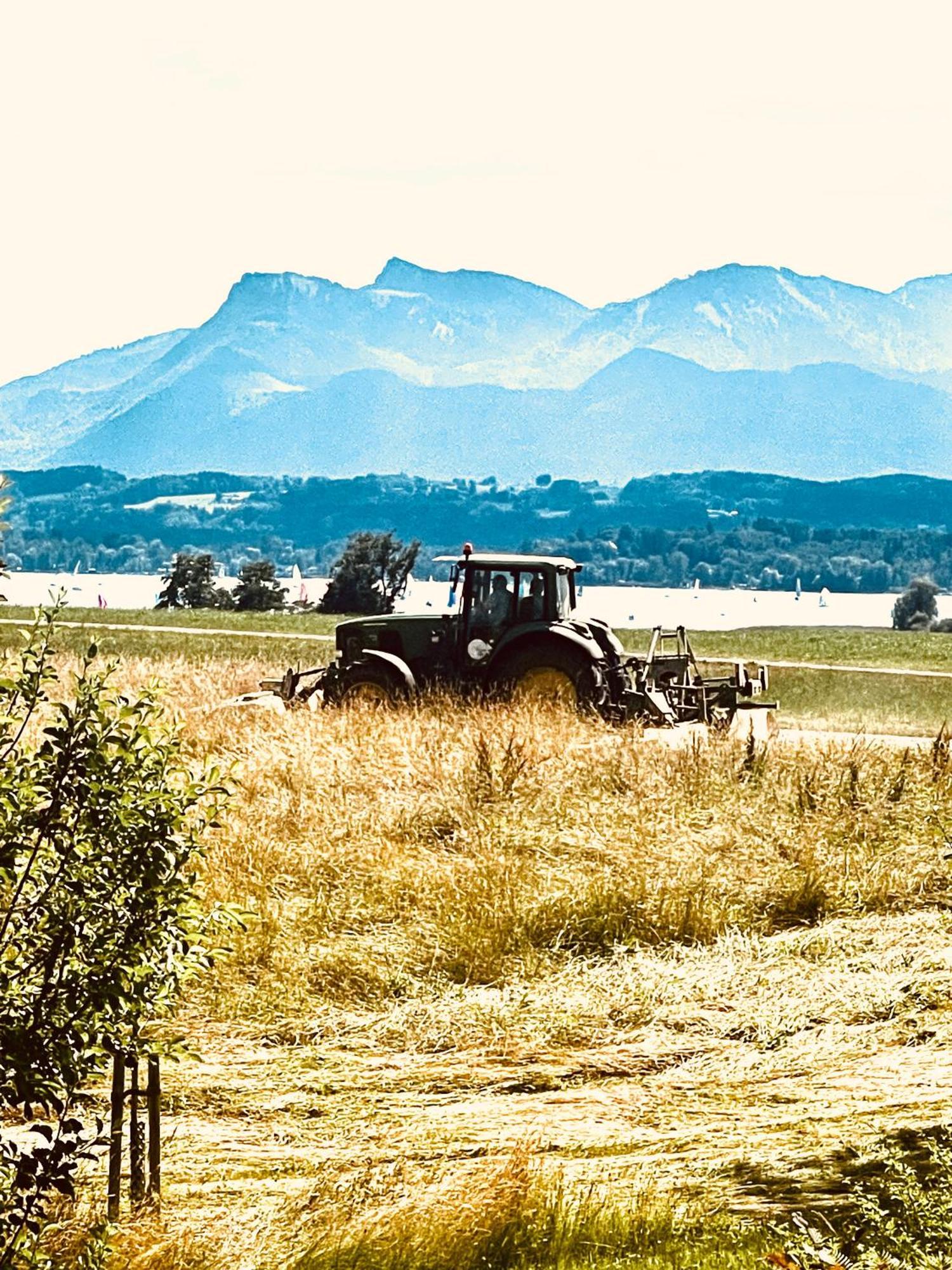 Zuhaeusl Am Chiemsee Appartements Breitbrunn am Chiemsee Zewnętrze zdjęcie