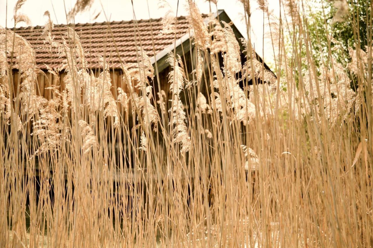 Zuhaeusl Am Chiemsee Appartements Breitbrunn am Chiemsee Zewnętrze zdjęcie