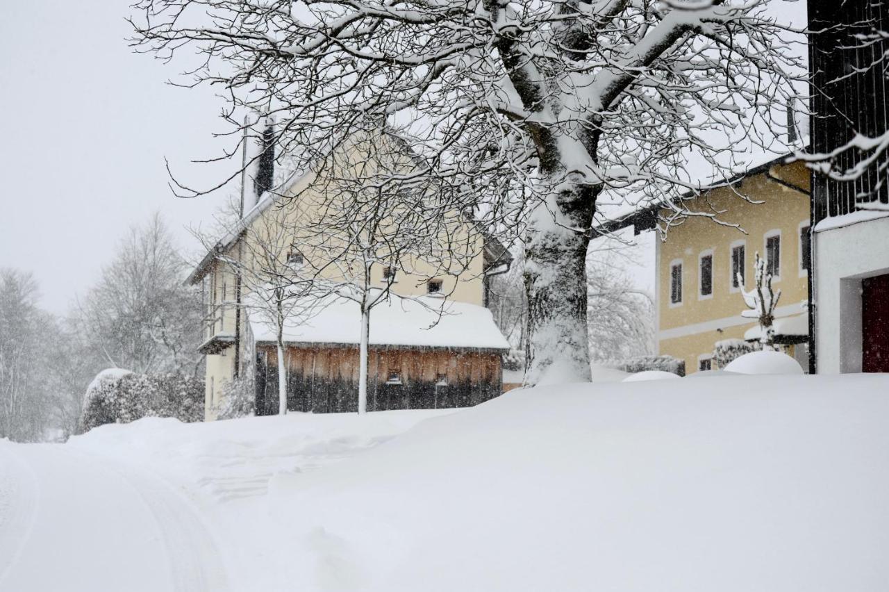Zuhaeusl Am Chiemsee Appartements Breitbrunn am Chiemsee Zewnętrze zdjęcie