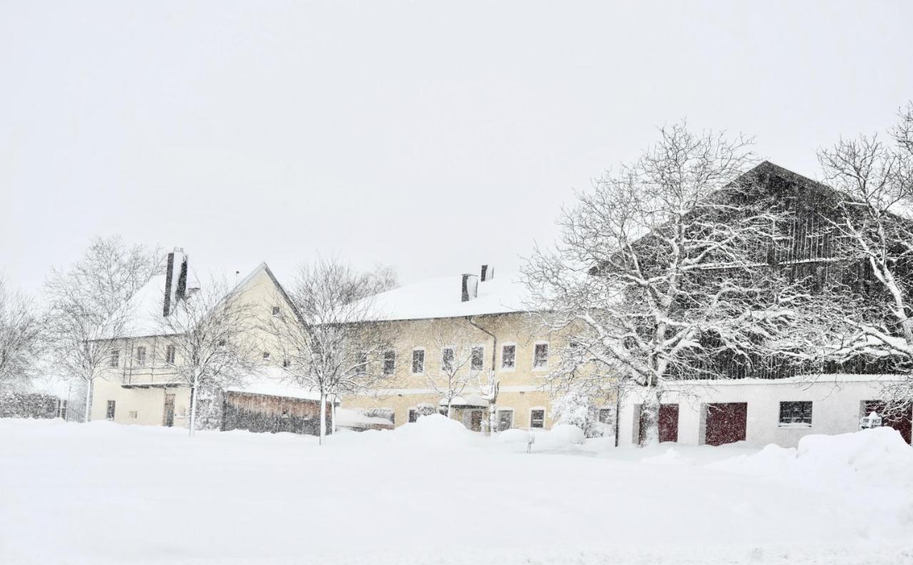 Zuhaeusl Am Chiemsee Appartements Breitbrunn am Chiemsee Zewnętrze zdjęcie